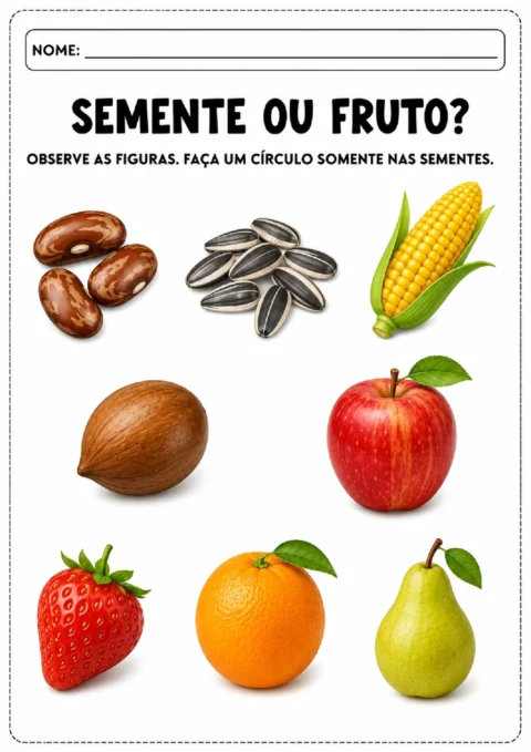 Atividades sobre sementes e frutas para imprimir