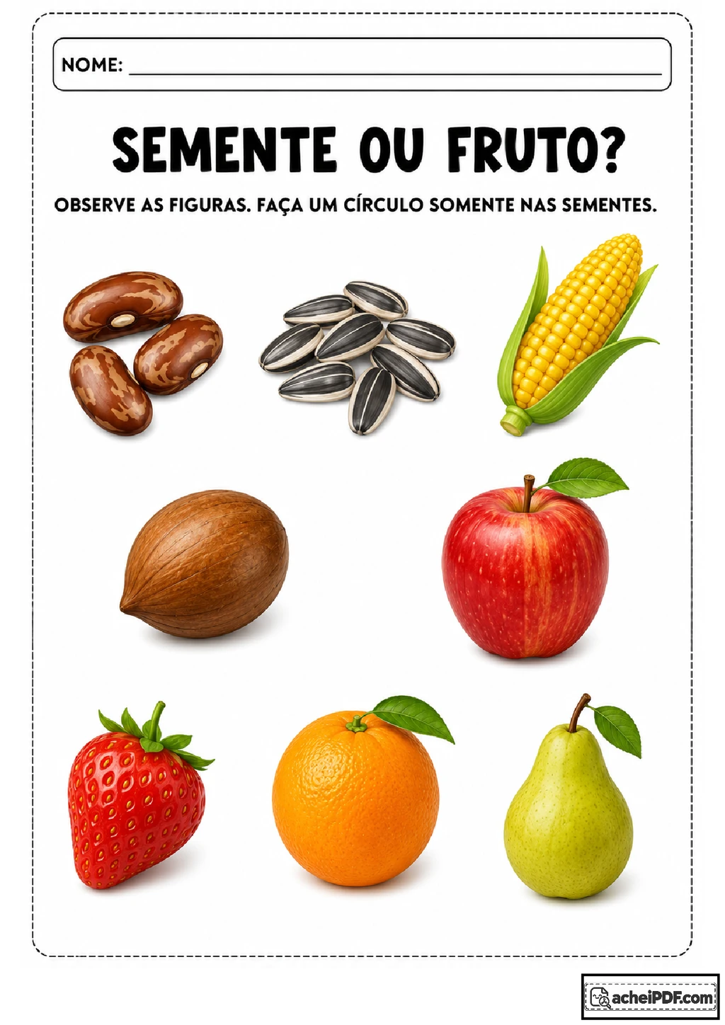 Atividades sobre sementes e frutas para imprimir