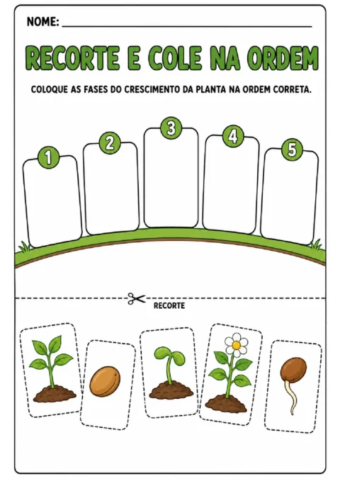 Ciclo de vida da planta: atividades para imprimir