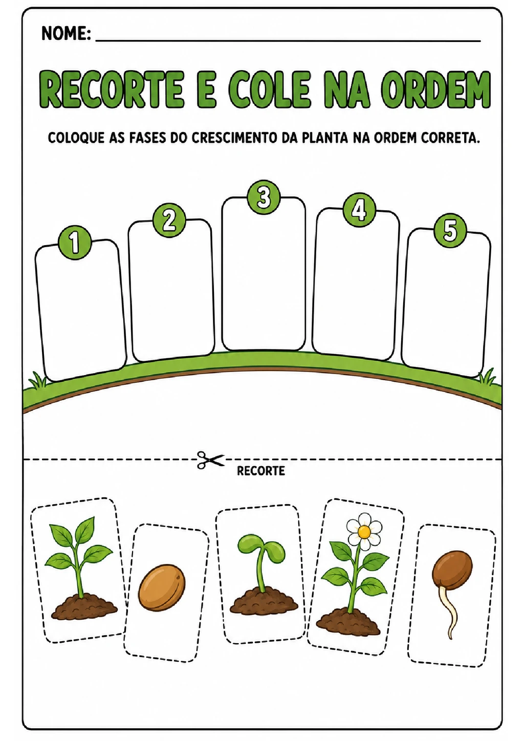 Ciclo de vida da planta: atividades para imprimir