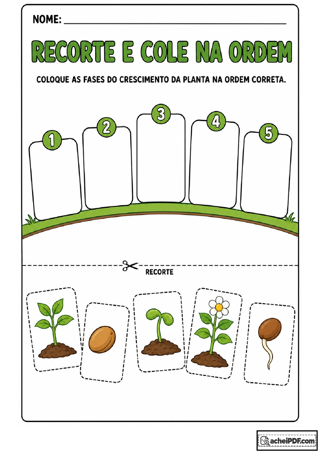 Ciclo de vida da planta: atividades para imprimir