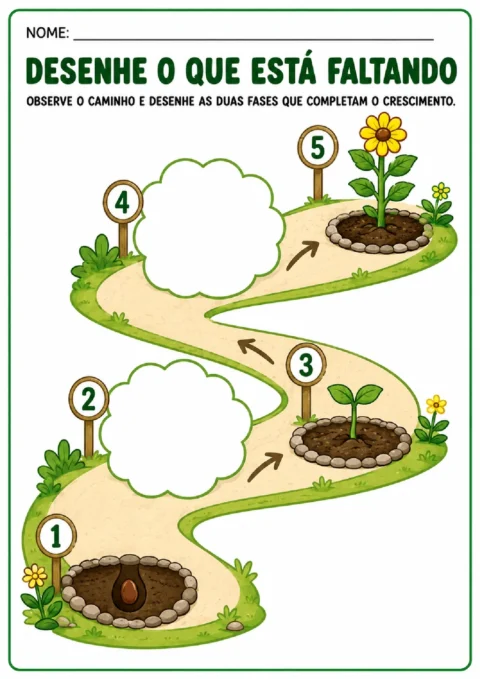 Atividade para desenhar as duas fases faltantes na sequência do crescimento de uma planta.