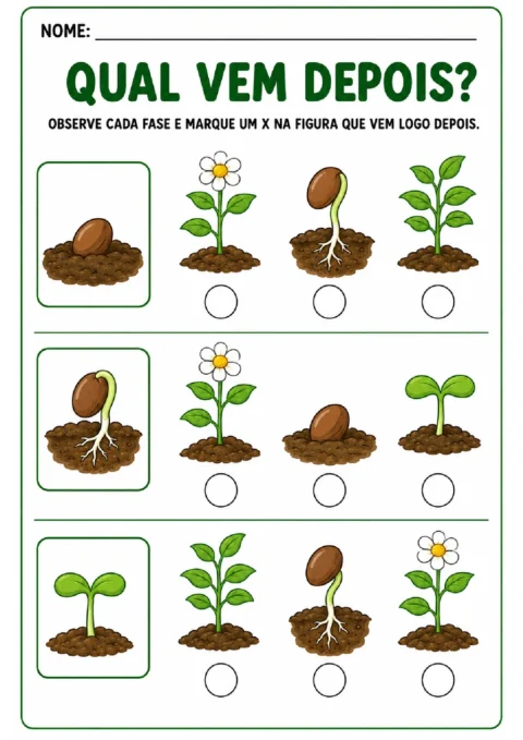 Atividade para marcar com X a próxima fase do crescimento de uma planta em cada sequência.