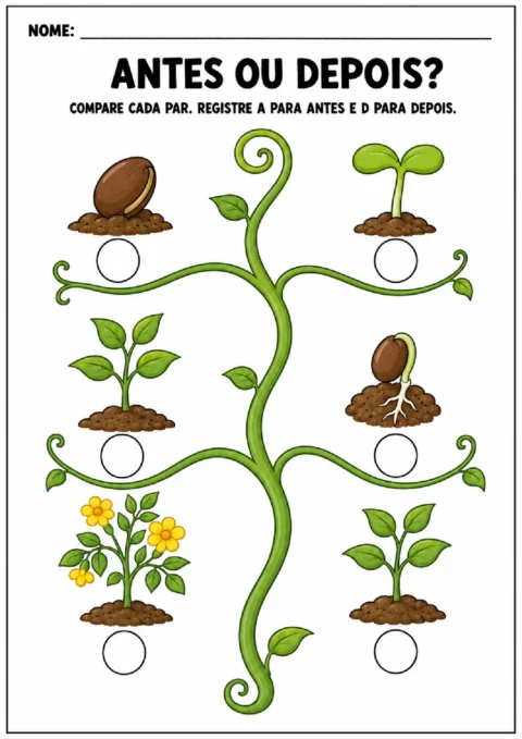 Atividade para comparar pares do ciclo de uma planta e registrar A para antes ou D para depois.