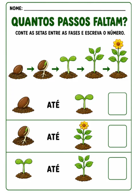 Atividade para contar as setas entre as fases do crescimento de uma planta e registrar os números.
