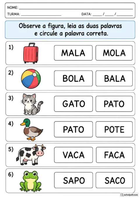 Atividade de leitura para o 1º ano com palavras parecidas e escolha da palavra correspondente à figura