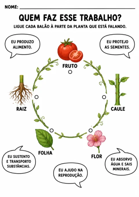 Atividade para ligar balões com funções às partes da planta: raiz, caule, folha, flor e fruto.