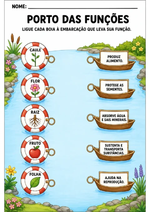 Atividade para ligar boias com partes da planta a barcos que mostram suas respectivas funções.