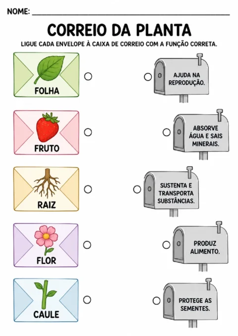 Atividade para ligar envelopes com folha, fruto, raiz, flor e caule às caixas de correio com suas funções.