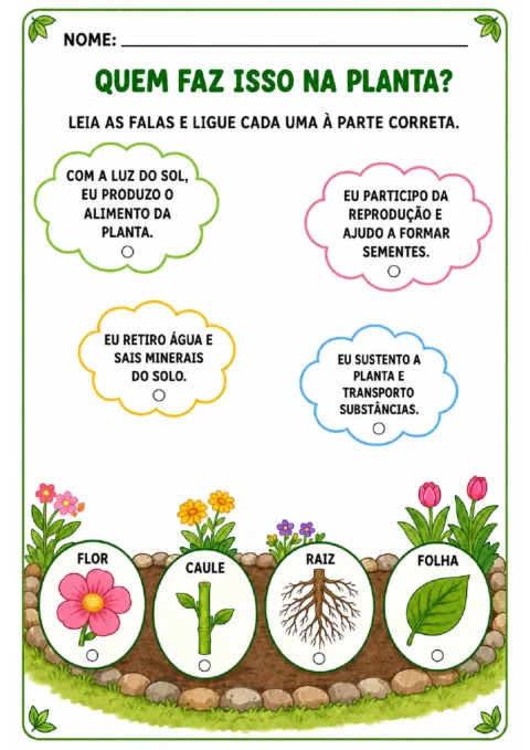 Atividade para ler falas sobre funções da planta e ligá-las à flor, ao caule, à raiz ou à folha.