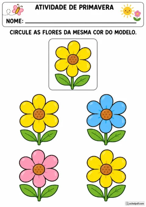 Comparação de flores pela cor com modelo visual em atividade de primavera para o Maternal I