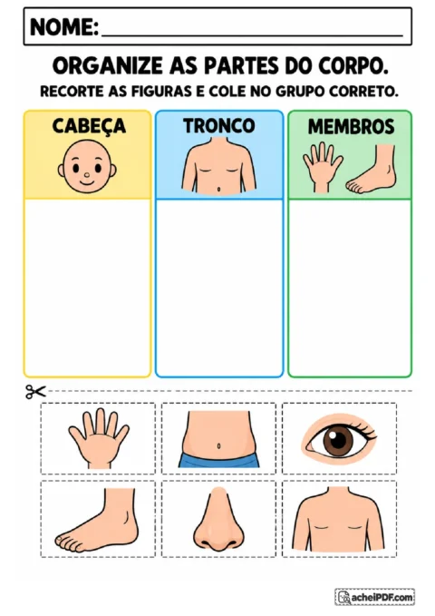 Atividade de recortar olho, nariz, peito, barriga, mão e pé para organizar em cabeça, tronco e membros