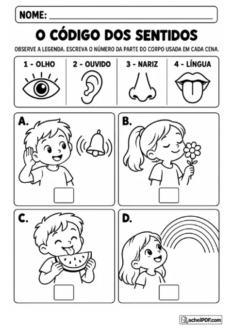 Código numérico de olho, ouvido, nariz e língua com cenas de sino, flor, melancia e arco-íris