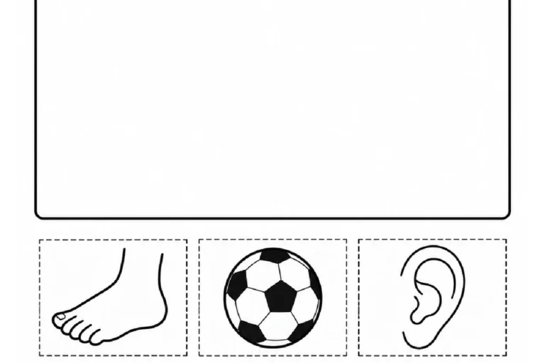 Cartões de mão, pé, orelha, nariz, bola e sapato para pintar e selecionar as partes do corpo humano