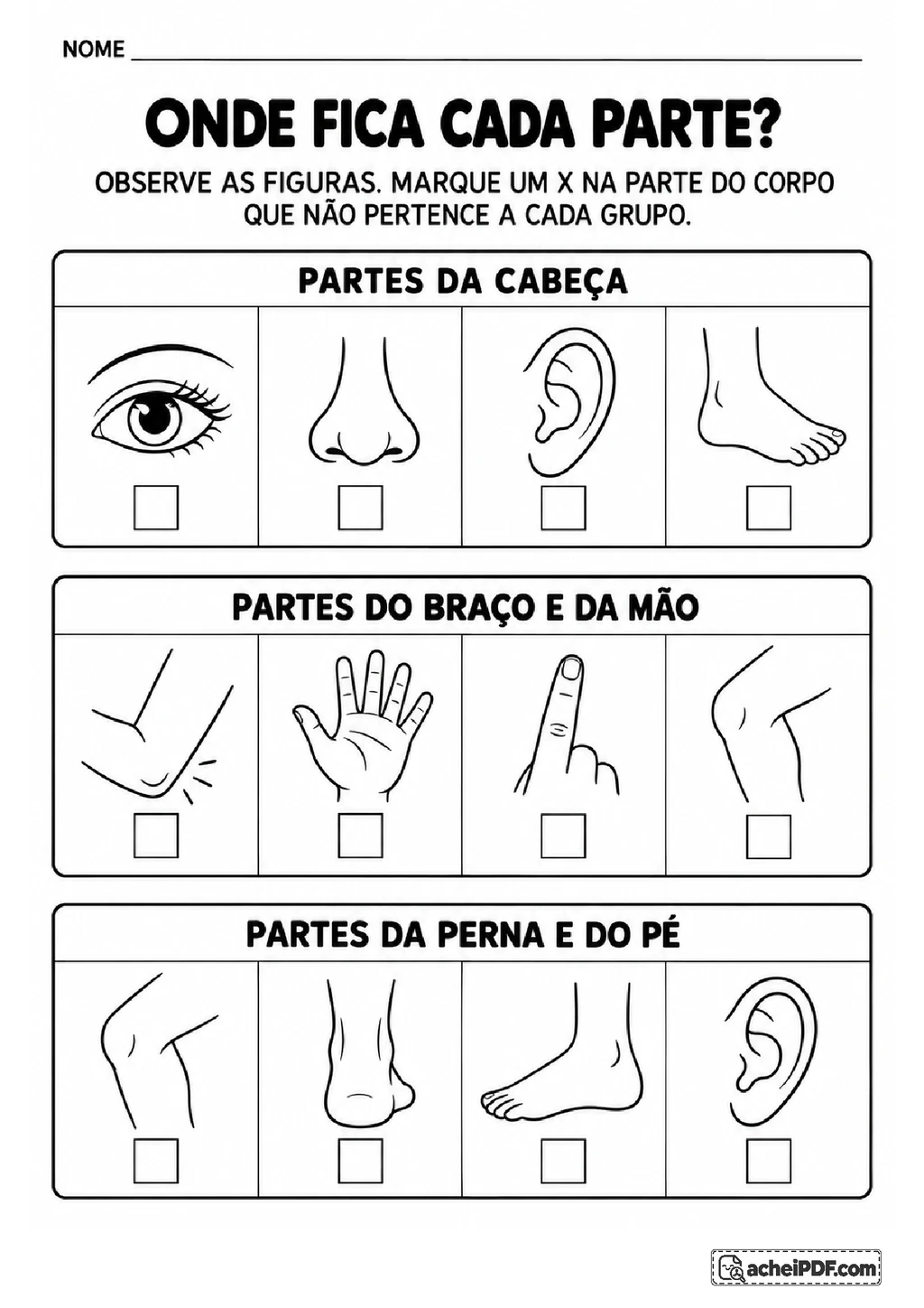 Corpo Humano, Sentidos e Higiene para o 1º ano