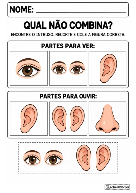 Quadros de partes para ver e ouvir com figuras intrusas e cartões de olhos e orelhas para substituição