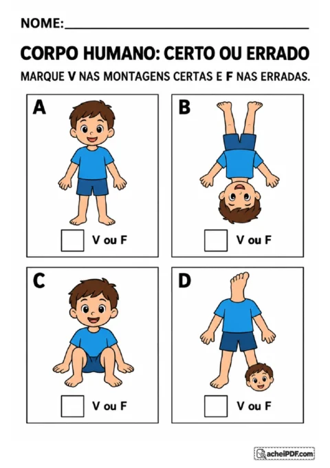 Quatro montagens ilustradas de figuras humanas para marcar V nas corretas e F nas incorretas