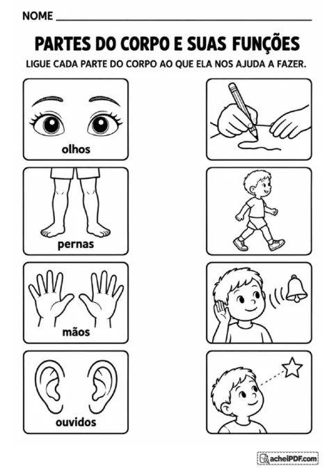 Olhos, pernas, mãos e orelhas para ligar a imagens de observar, caminhar, desenhar e escutar