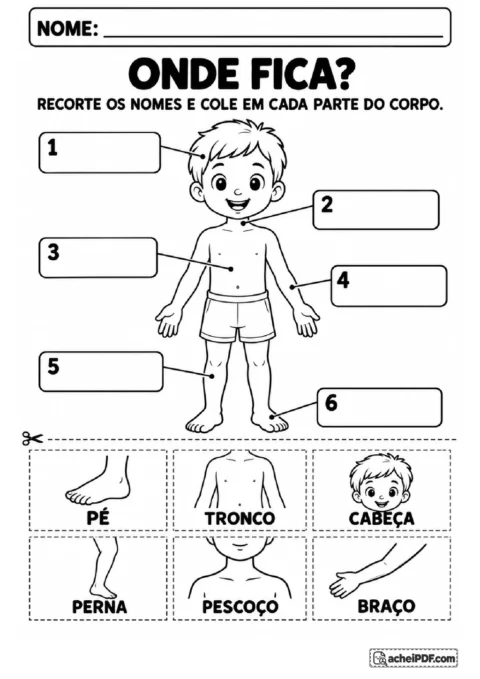 Criança com espaços para colar etiquetas de cabeça, pescoço, tronco, braço, perna e pé
