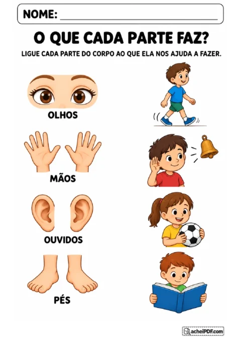 Colunas ilustradas para ligar olhos, mãos, ouvidos e pés às ações de olhar, segurar, ouvir e caminhar