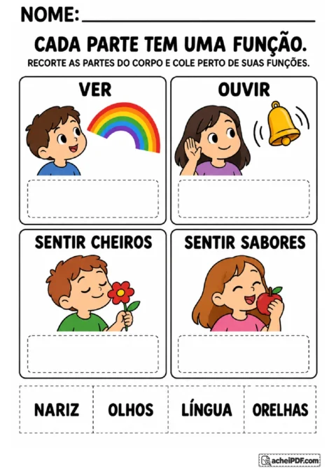 Cartões de olhos, orelhas, nariz e língua para relacionar visão, audição, cheiros e sabores