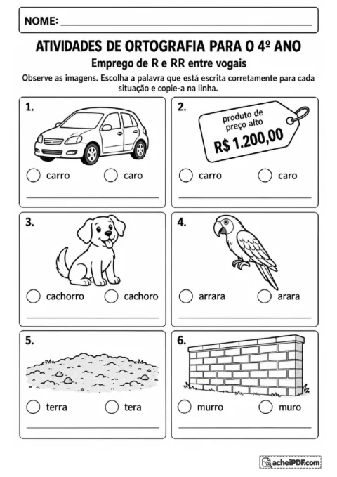 Ilustrações para escolher a grafia correta de palavras com R ou RR, como carro, caro, arara e terra