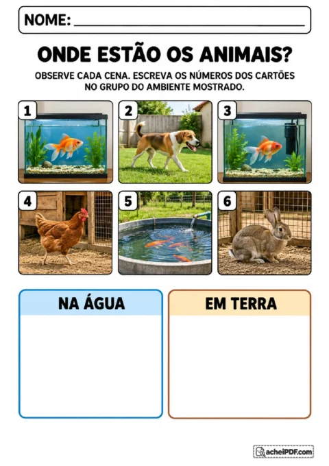 Seis cartões de peixes, cachorro, galinha e coelho para classificar os ambientes mostrados em água ou terra