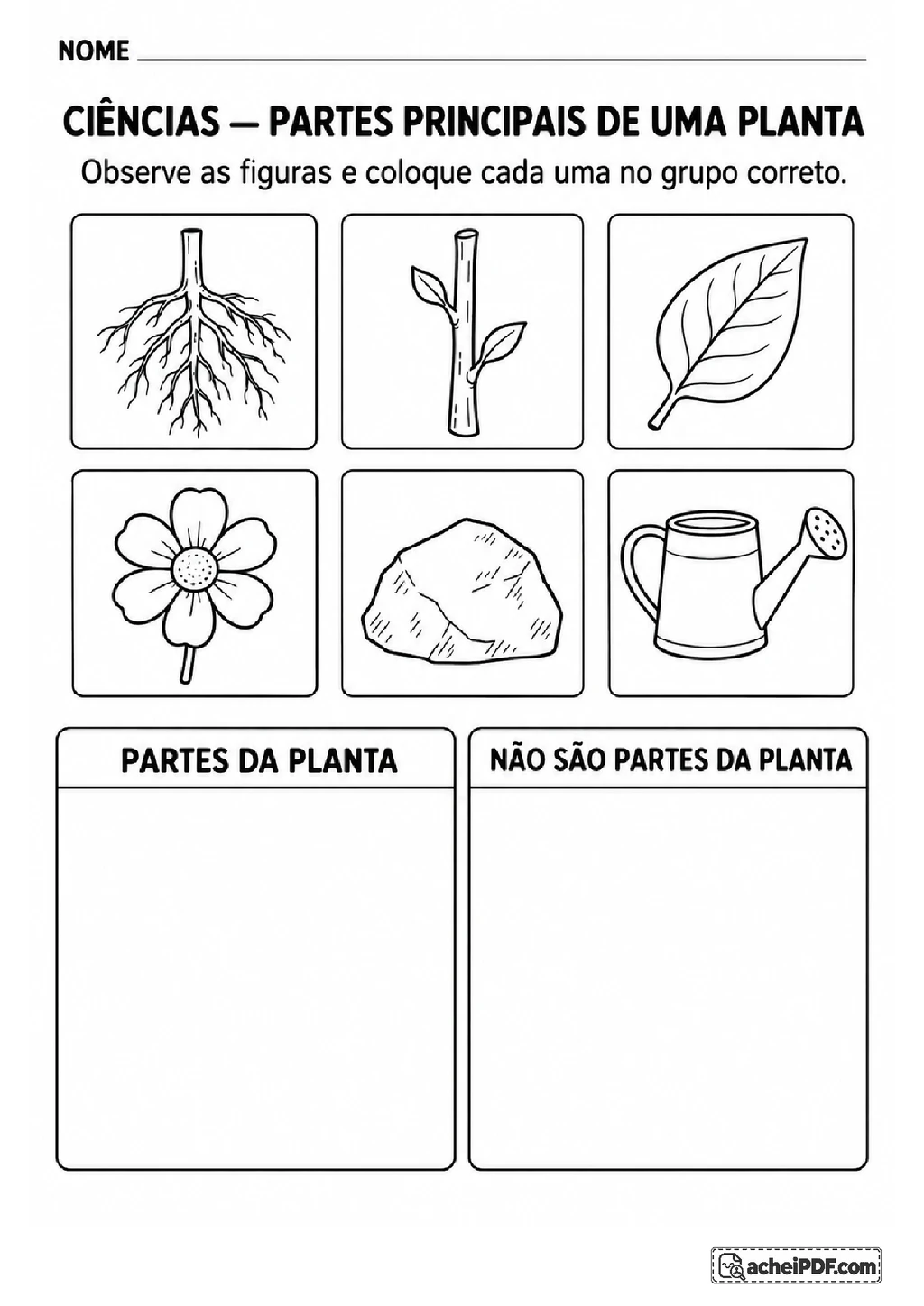 Atividades de Ciências sobre Plantas para o 2º ano