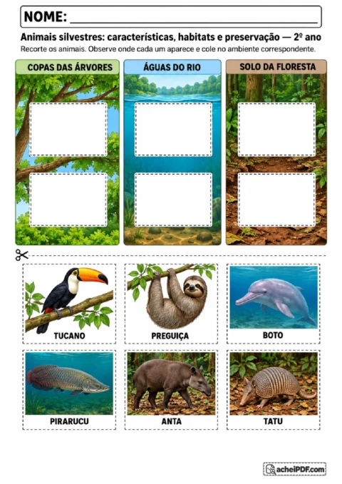 Cartões recortáveis de tucano, preguiça, boto, pirarucu, anta e tatu para colar em três ambientes naturais