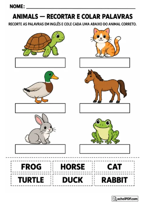 Desenhos de tartaruga, gato, pato, cavalo, coelho e sapo para colar legendas em inglês