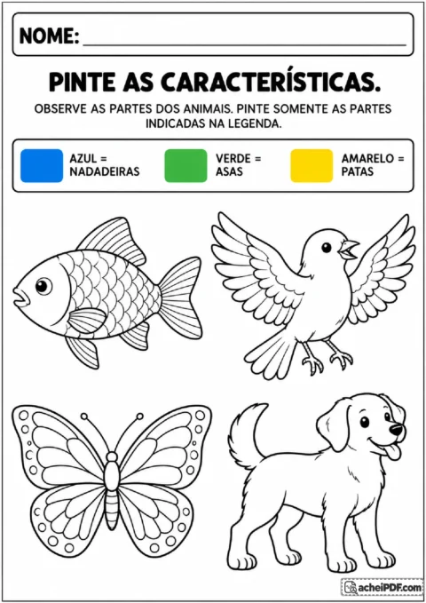 Desenhos de peixe, pássaro, borboleta e cachorro para colorir nadadeiras, asas e patas por código