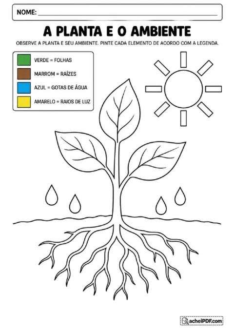 Planta com folhas, raízes, gotas de água e raios solares para colorir cada elemento conforme a legenda