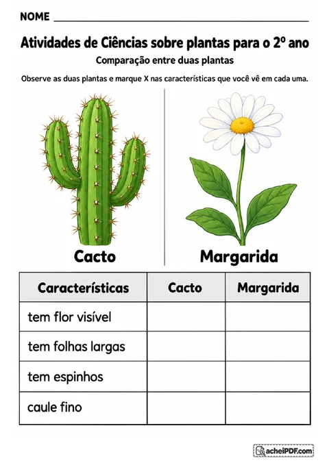 Tabela ilustrada para comparar espinhos, folhas, flores e caule de um cacto e uma margarida