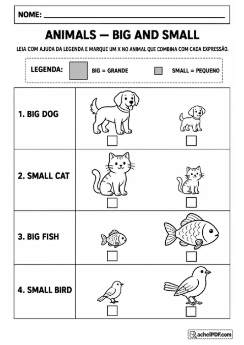 Pares de cachorro, gato, peixe e pássaro para marcar grande ou pequeno em inglês