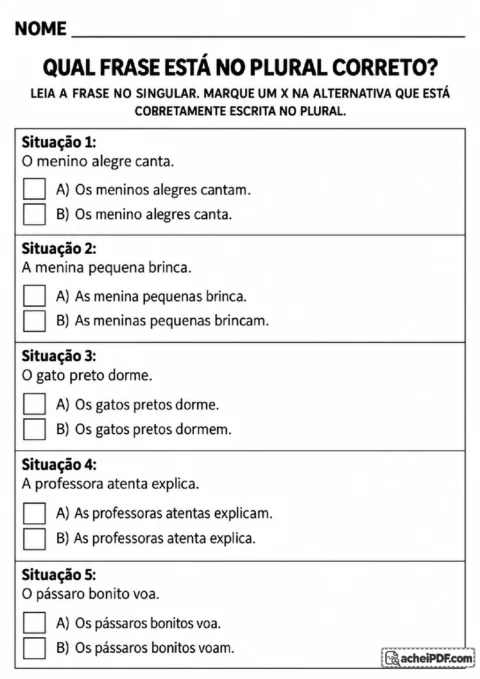 Exercício de concordância no plural com pares de frases e alternativas para marcar a escrita correta