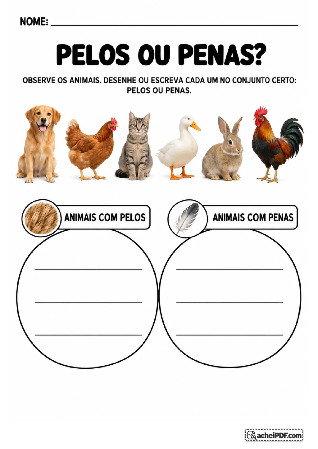 Animais Domésticos em PDF: Pelos, Penas e Cuidados