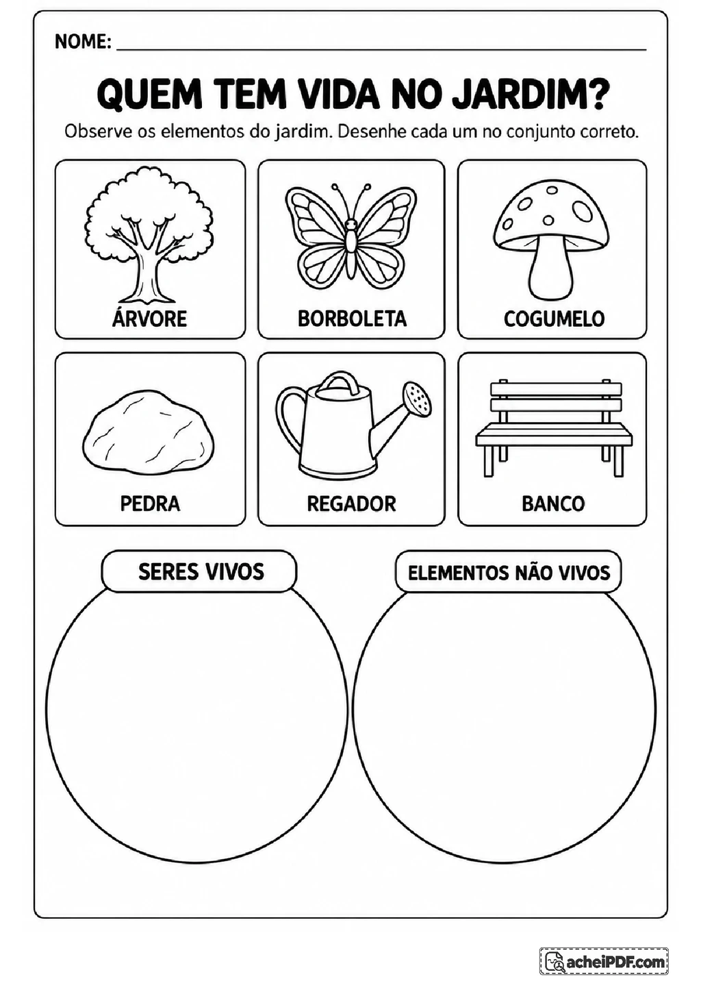 Seres Vivos e Não Vivos: Atividades para o 2º ano