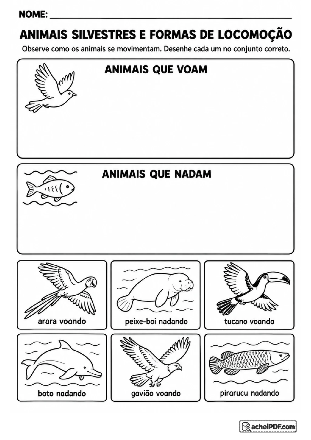 Animais Silvestres: Características e Preservação para o 2º ano