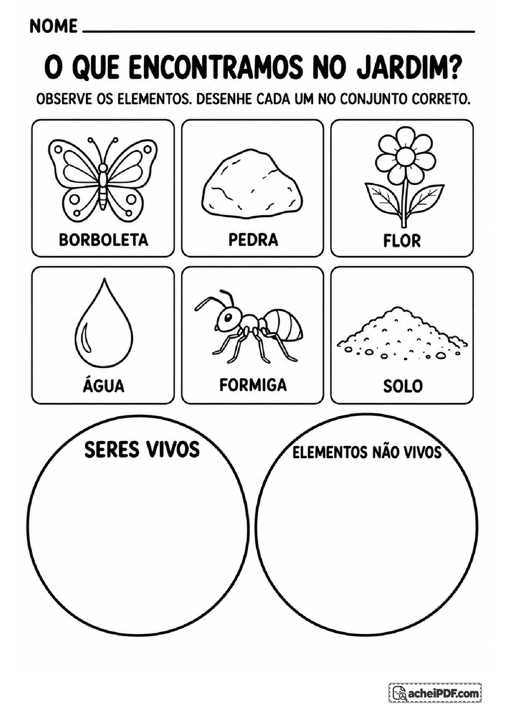 Meio Ambiente: Atividades de Ciências para o 2º ano