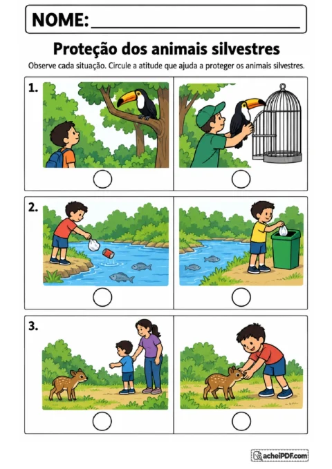 Situações ilustradas para circular atitudes de proteção de um tucano, dos peixes do rio e de um filhote silvestre