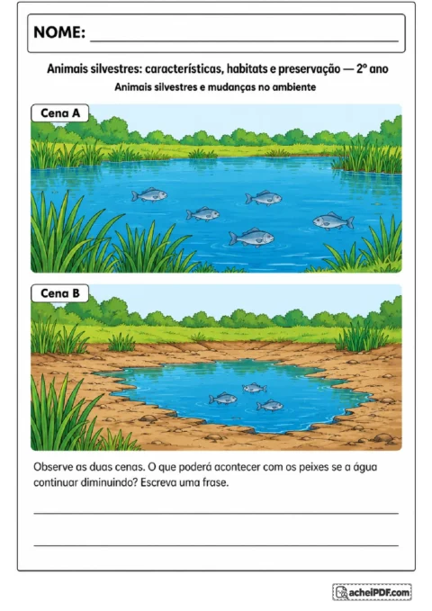 Duas cenas de uma lagoa com níveis diferentes de água para escrever uma hipótese sobre os peixes