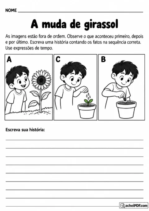Quadros fora de ordem com plantio de semente, broto e girassol florido para produção narrativa.