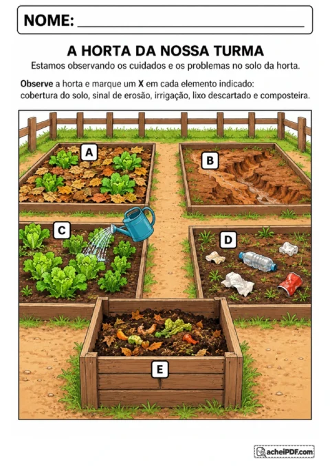 Cena de horta com cobertura do solo, erosão, irrigação, lixo e composteira para identificar