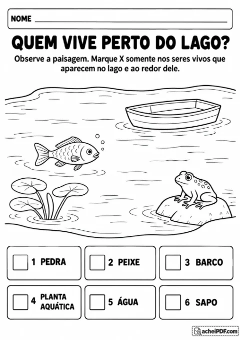 Cena de lago com peixe, sapo, planta aquática, pedra, água e barco para marcar os seres vivos