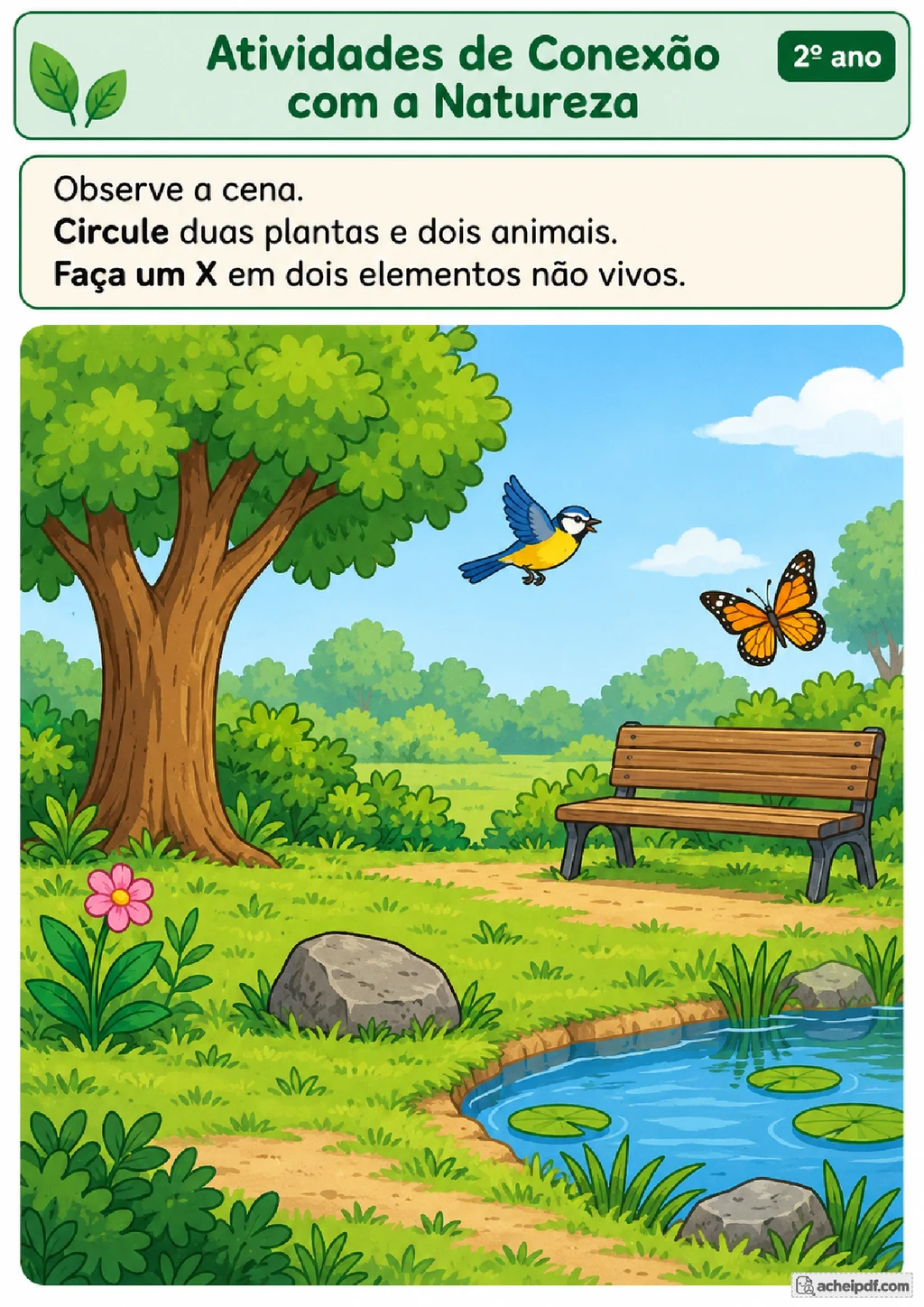 Atividades sobre Natureza para o 2º ano
