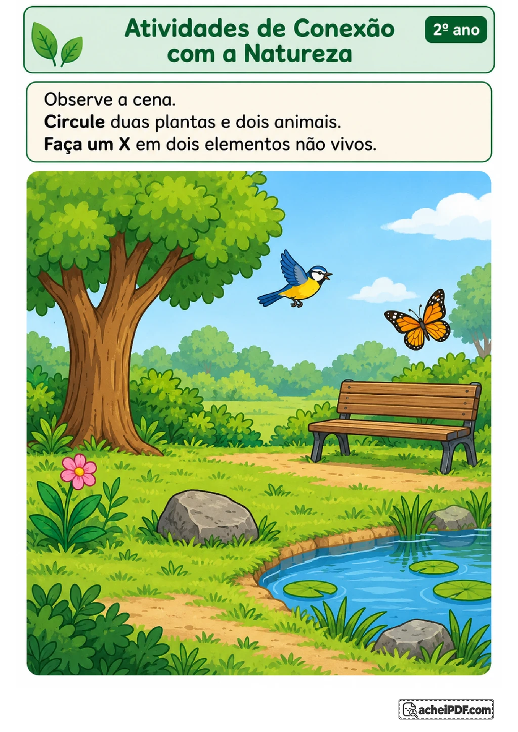 Atividades sobre Natureza para o 2º ano