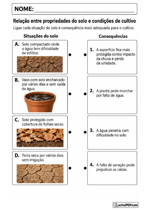 Atividade de ligar condições do solo às consequências para a infiltração e o cultivo de plantas