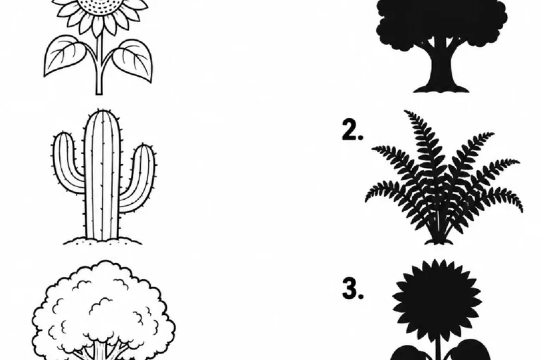 Atividade de Ciências para ligar desenhos de girassol, cacto, árvore e samambaia às suas sombras