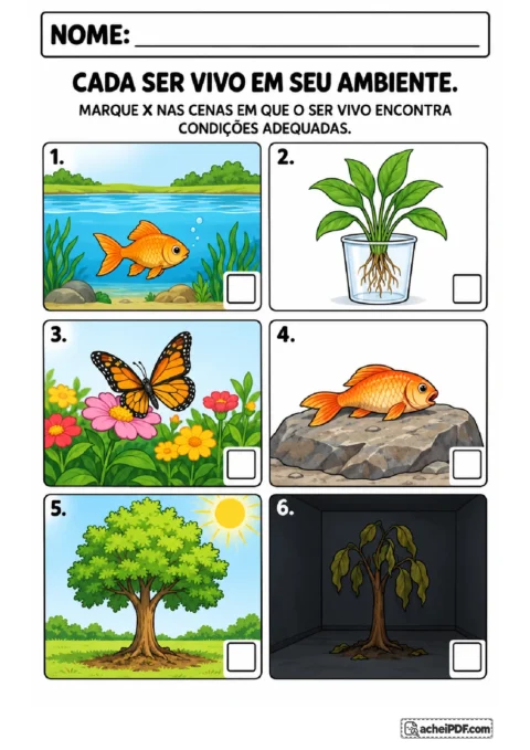 Seis cenas com peixes, árvores, planta e borboleta para marcar condições adequadas à vida dos organismos
