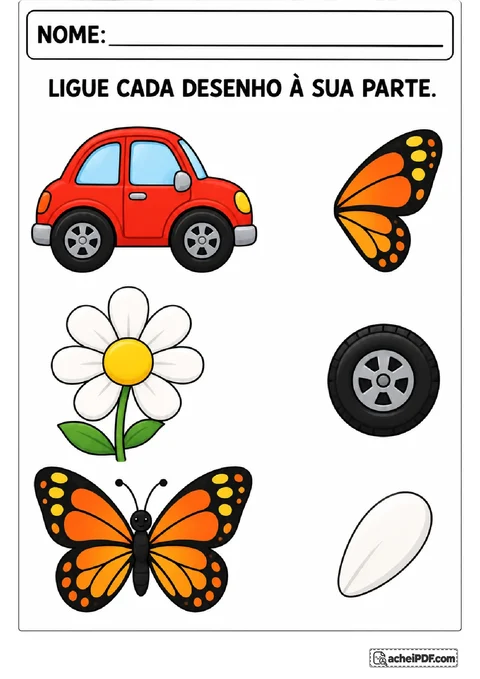 Carro, flor e borboleta para ligar cada desenho à roda, à pétala ou à asa correspondente